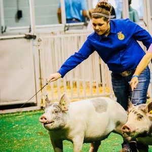 Meet your Posher, Lg